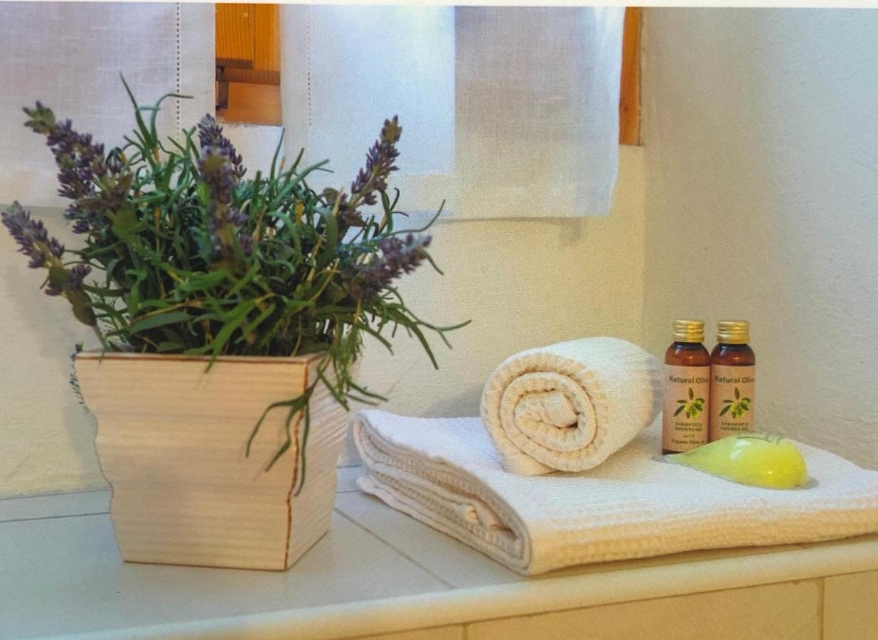 Appartement “Oltre Il Confine” à Belluno Extérieur photo