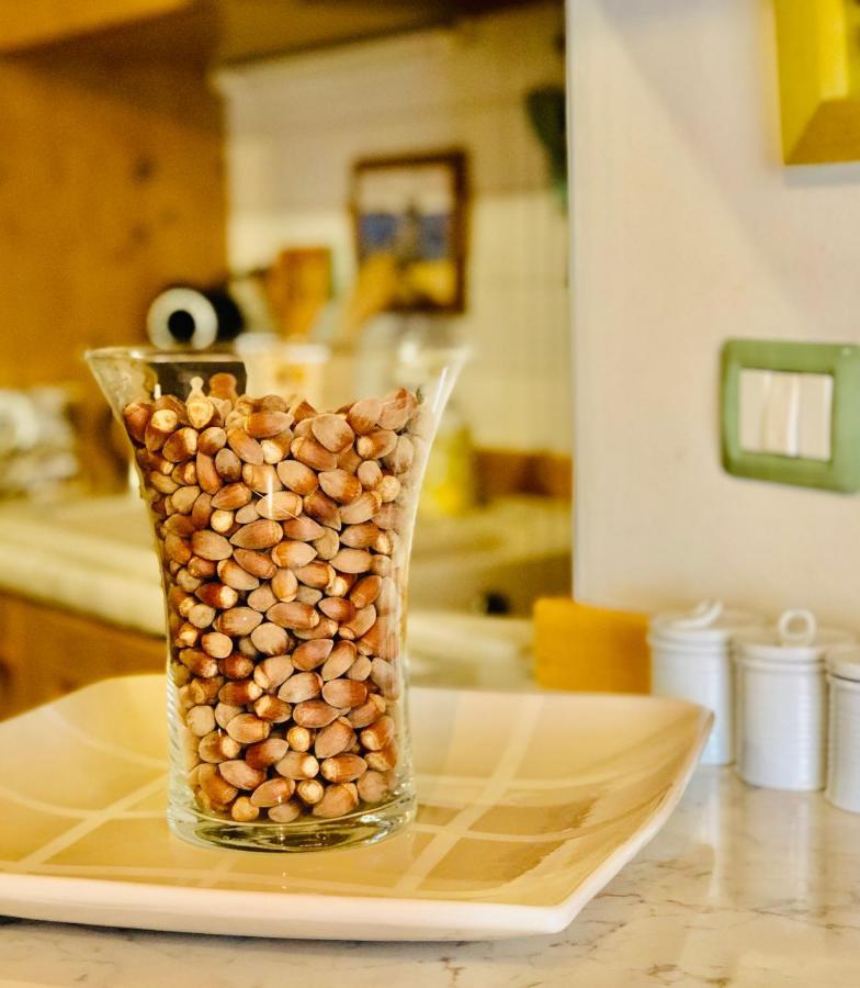 Appartement “Oltre Il Confine” à Belluno Extérieur photo