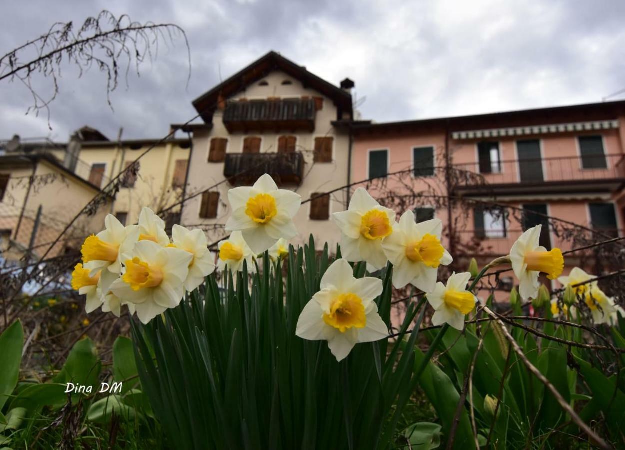 Appartement “Oltre Il Confine” à Belluno Extérieur photo